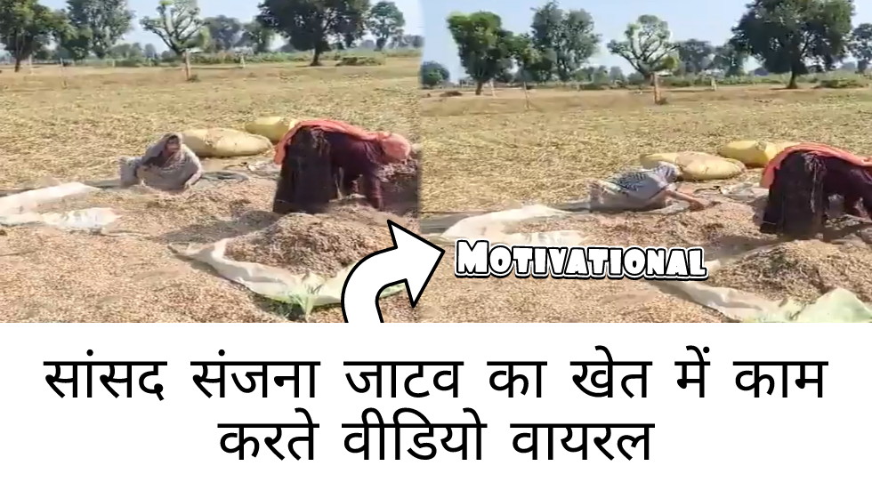 सांसद संजना जाटव का खेत में काम करते वीडियो वायरल सांसद होकर भी खेती करती हैं संजना जाटव – वायरल वीडियो से सबको दी सीख